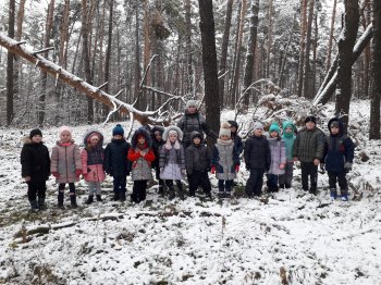 "Экскурсия в осенний лес"